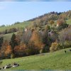 IMG_7579